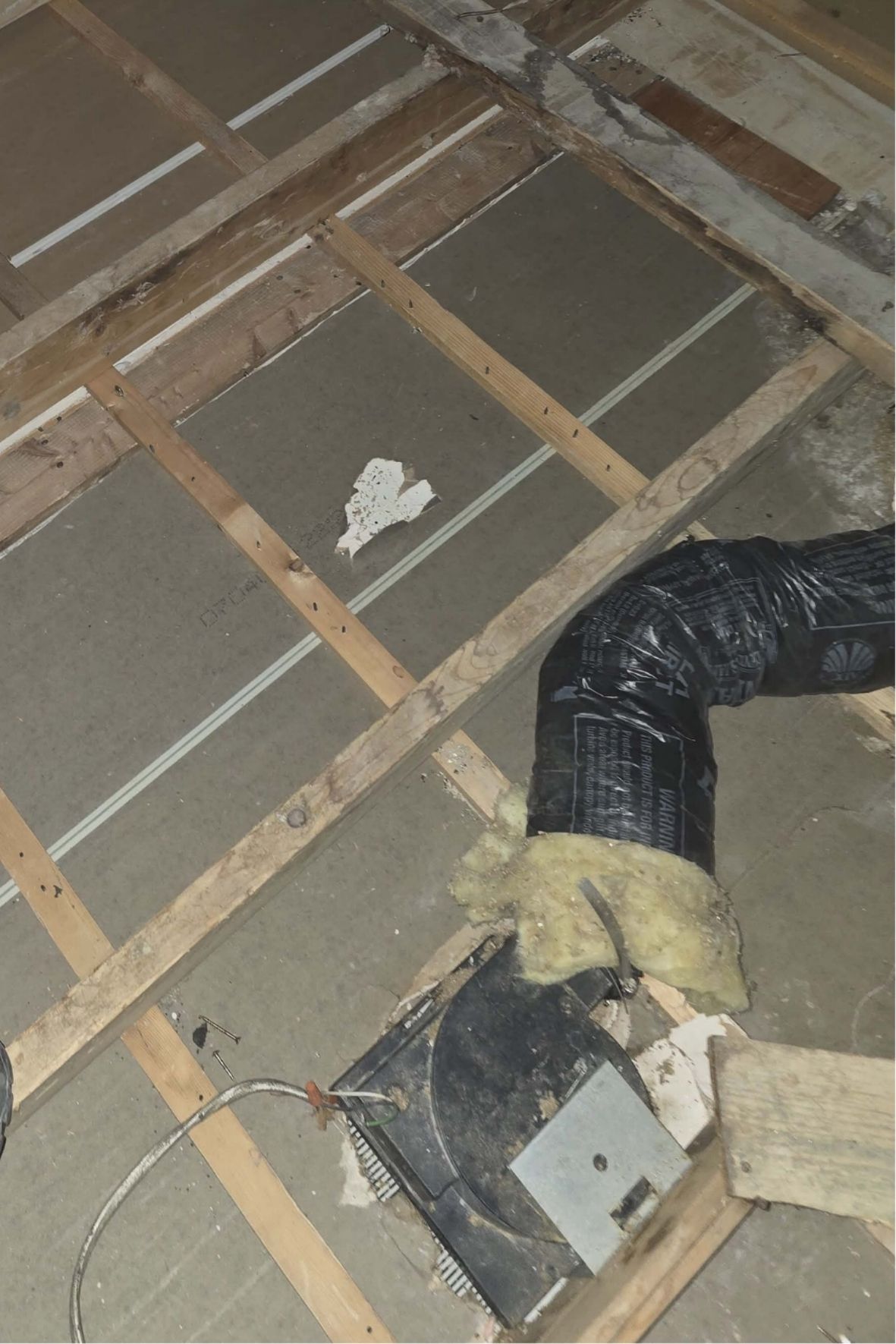 Structure de plancher en bois exposée avec isolant visible dans un bâtiment résidentiel  à L`Île-Bizard